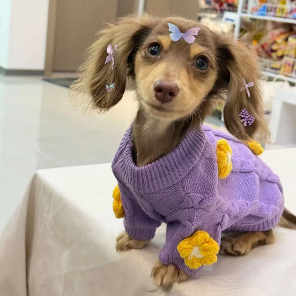 Suéter floral de punto para perro salchicha – Cálido y cómodo - imagen 2