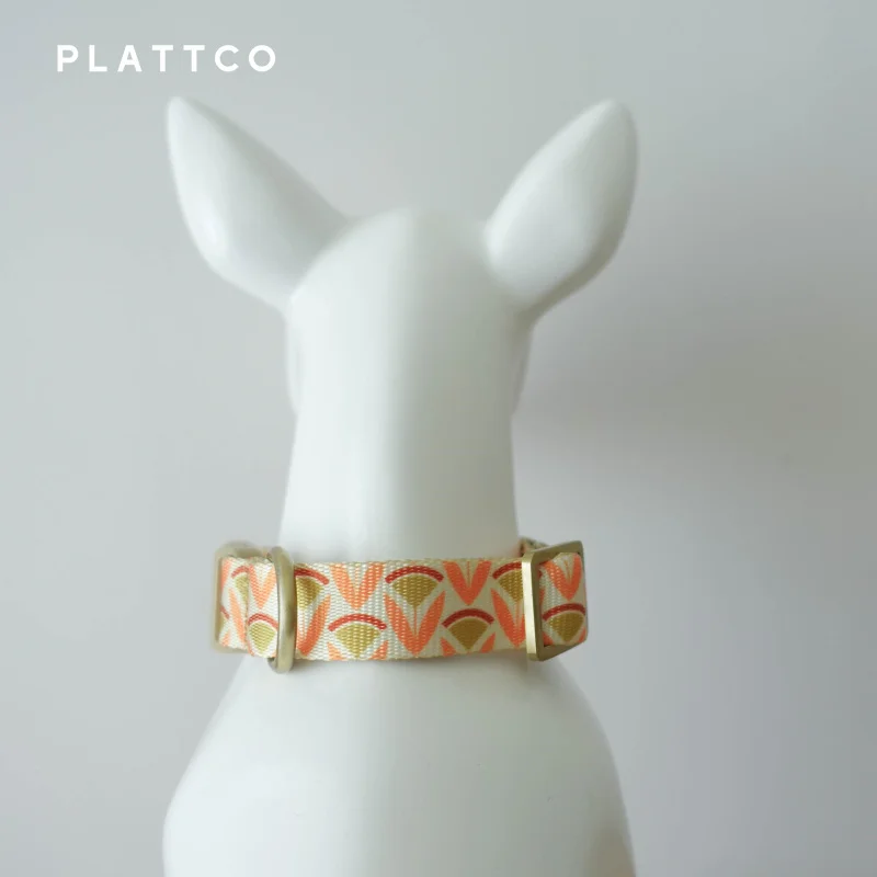 Collar personalizado para mascotas de diseñador, Collar de perro personalizado de nailon de lujo, collares con nombre, accesorios, Bulldog Francés, Pug, Iris dorado - imagen 4