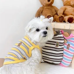 Chaleco algodón estampado oso para perro Chihuahua – Ropa veraniega