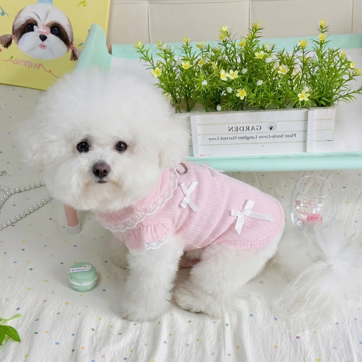 Chaleco de encaje con lazo para perros pequeños Teddy y Yorkshire - imagen 5