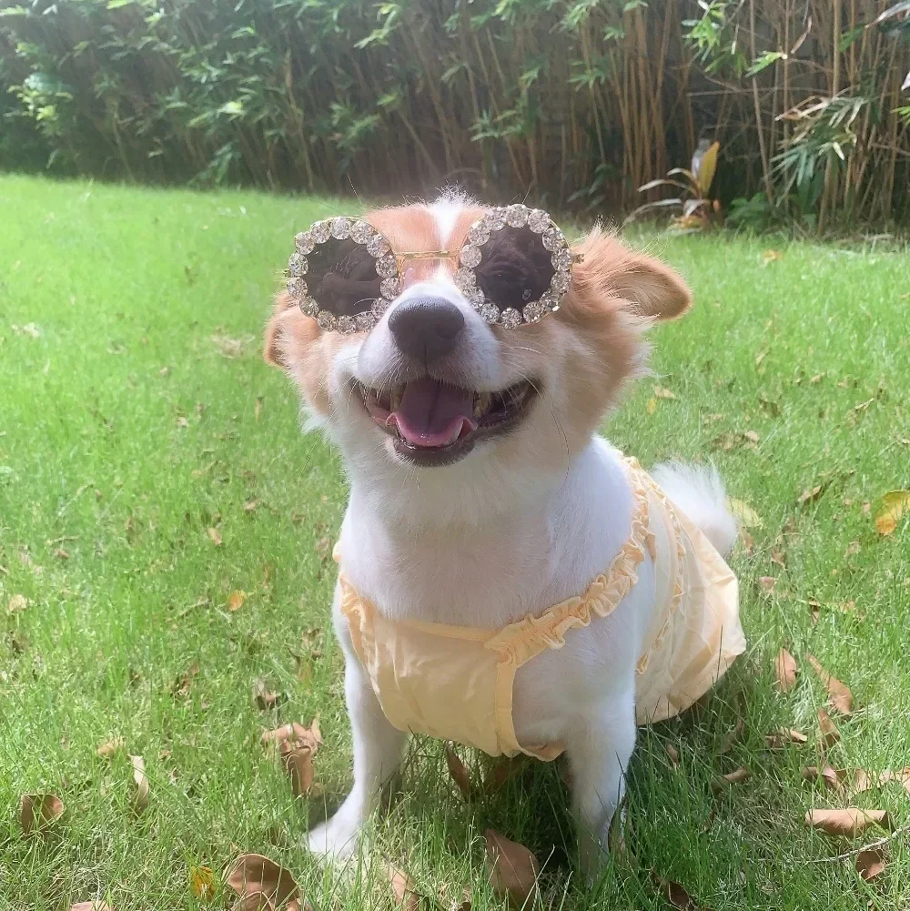 Gafas para perros y mascotas, gafas de sol con diamantes de imitación, decoración para fotografía de gatos, accesorios para gafas de sol de moda, productos para mascotas, gafas de sol para cachorros - imagen 3