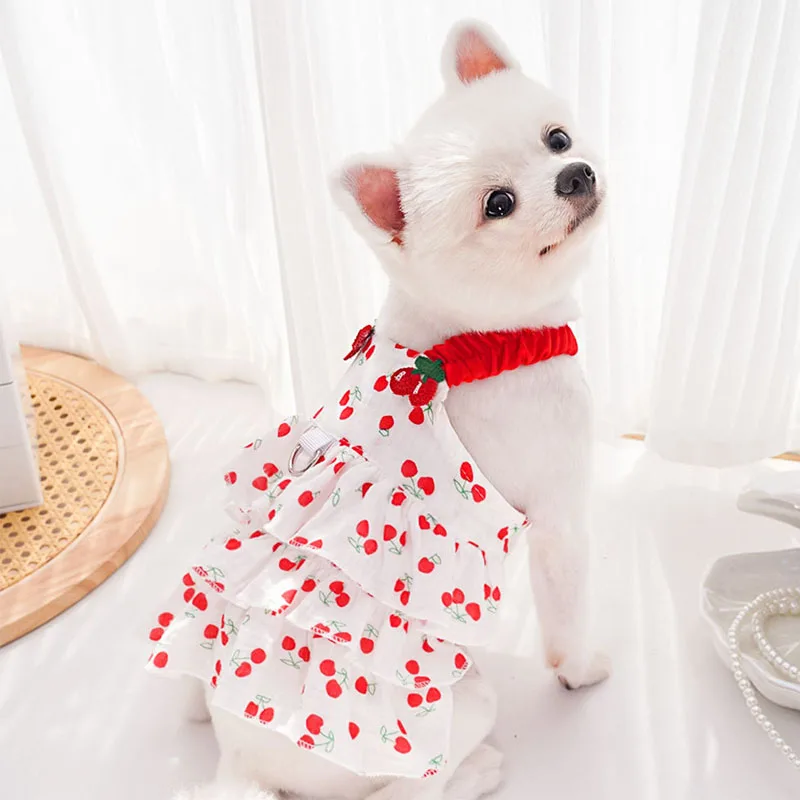Vestido verano con capucha para perras – Estampado cerezas, Chihuahua y Poodle