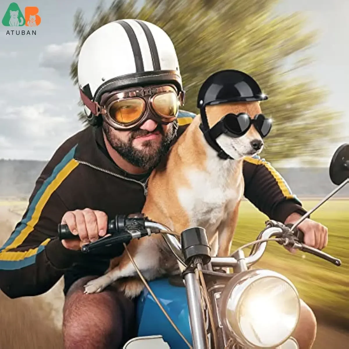 Casco y gafas para perros pequeños, gafas de sol para cachorros, protección UV, casco para mascotas, cinturón ajustable, motocicleta para perros, sombrero de seguridad duro, resistente al viento - imagen 5