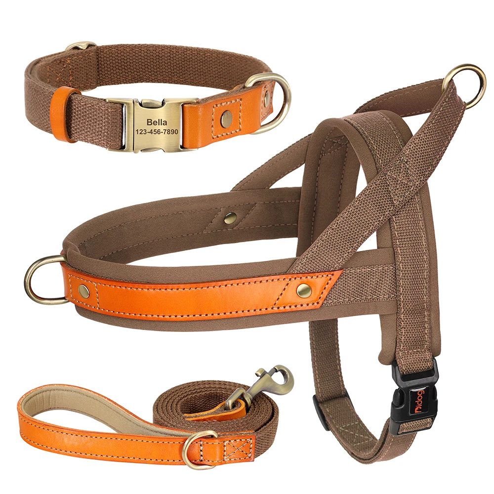 Brown Collar Harness