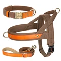 Brown Collar Harness