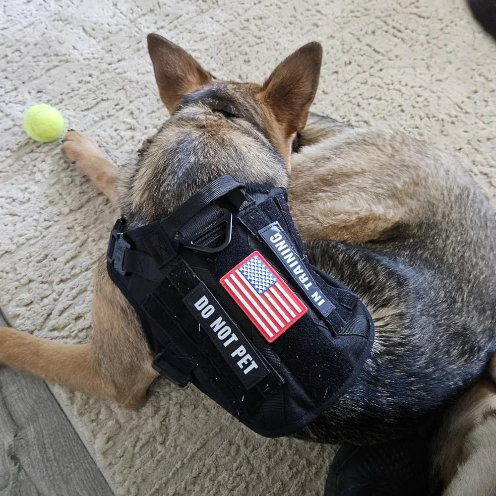 Conjunto de arnés y correa para perros de estilo táctico, chaleco para mascotas con sistema Molle, arnés de nailon para perros medianos y grandes, entrenamiento de senderismo y caminar - imagen 4