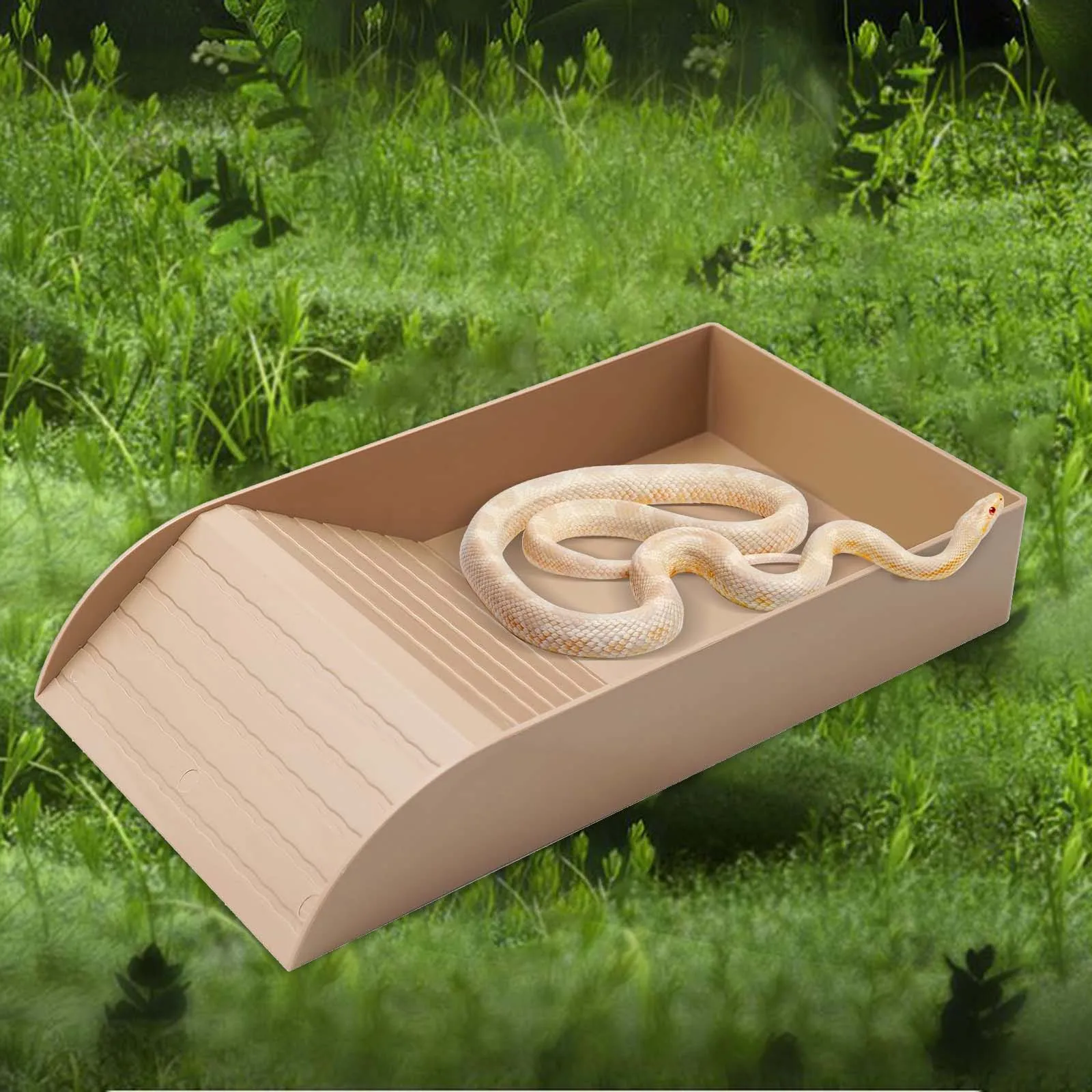 Cuenco de agua para reptiles, plato de alimentación para Tortuga, piscina de baño para leopardo, Gecko, dragón barbudo, accesorios para anfibios - imagen 3