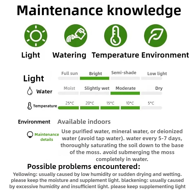 Acuarios, pecera pequeña, botella de plantas ecológica, cuencos de peces, luz para niños, pecera de visualización, micropaisaje, decoración de escritorio para oficina - imagen 5