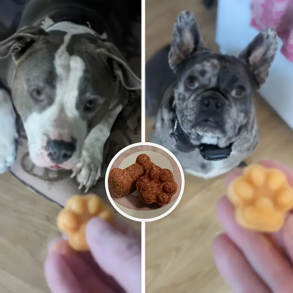 Molde de silicona para comida de perro, herramienta para hornear pasteles, bandeja de hielo, pudín, gelatina, 14 cuadrículas, hueso de perro, pata de gato, 1 unidad - imagen 5