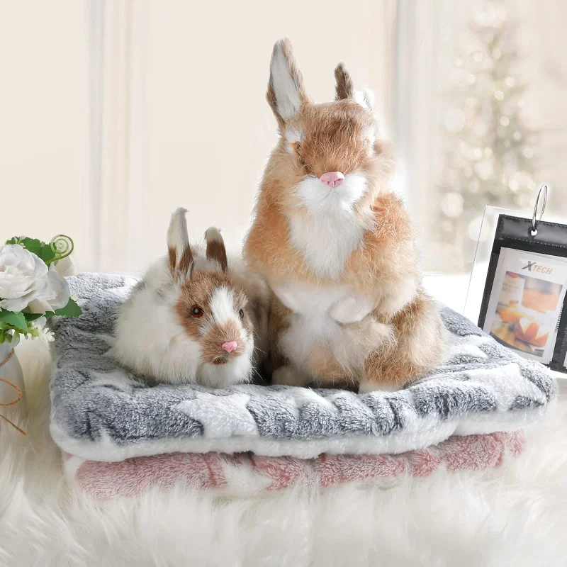 Estera gruesa de franela para cama de perro, estera suave para dormir para mascotas, manta cálida de invierno para perros y gatos - imagen 3