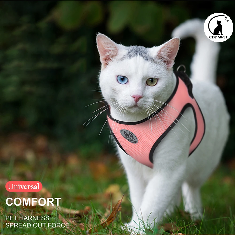 Juego de 3 uds de arnés y correa para perros pequeños, arnés para cachorros y gatos, chaleco, correa para el pecho de malla transpirable, suministros para mascotas Chihuahua y gatitos - imagen 2