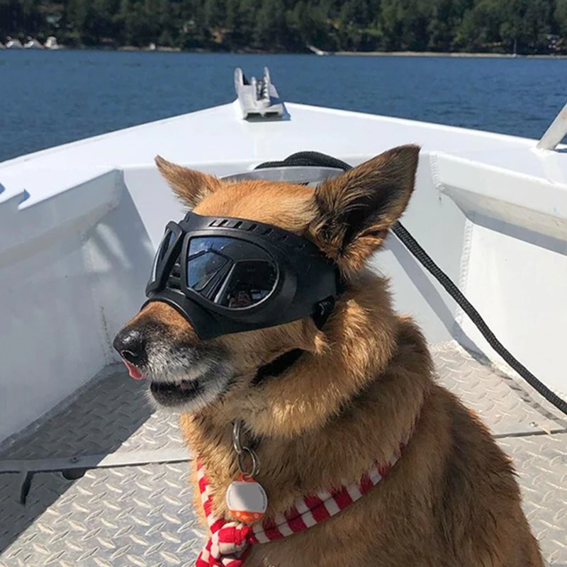 Gafas de sol ajustables para perros y mascotas, gafas de sol Anti-UV, gafas de protección para caniche, impermeables, a prueba de viento para máscara de perro, gafas de sol - imagen 4