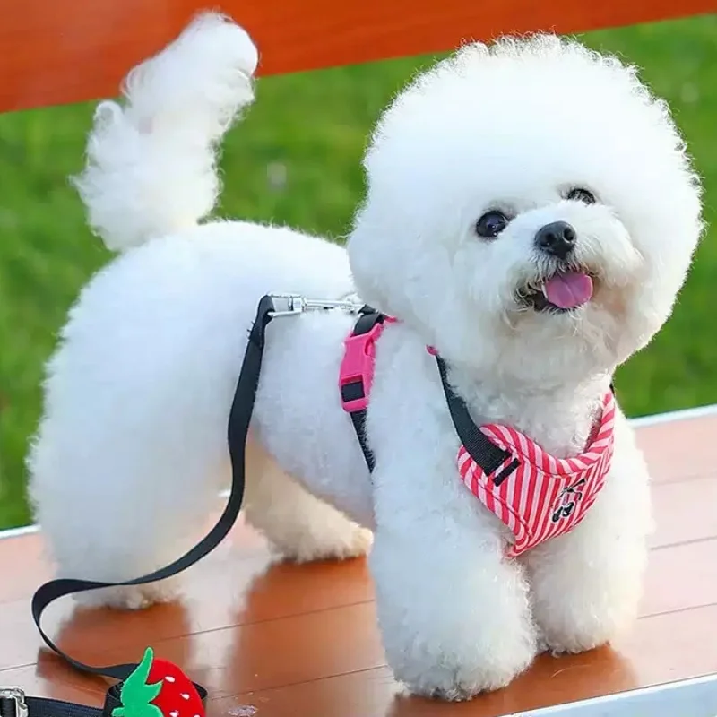 Arnés chaleco ajustable estampado cereza para perros y gatos
