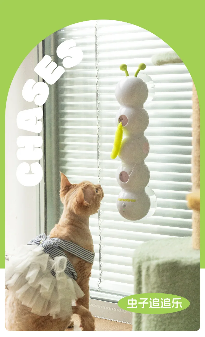 Juguete oruga interactivo para gatos
