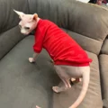 Long Sleeves
