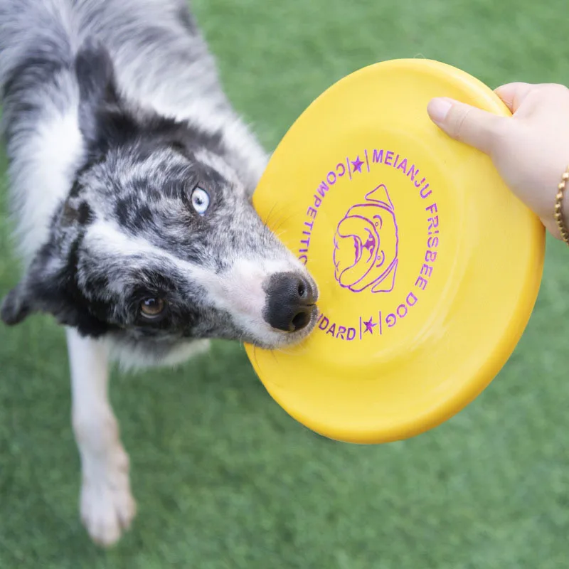 Disco volador para perros, flotante y resistente a mordidas práctico