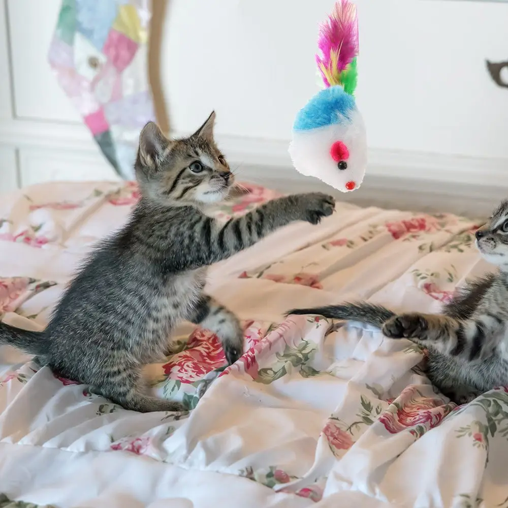10 unids/set de juguetes para gatos y ratones, sonajero interactivo para gatos y gatitos de interior, juguetes con hierba gatera de colores surtidos con plumas, juguete para ratones y gatos - imagen 5