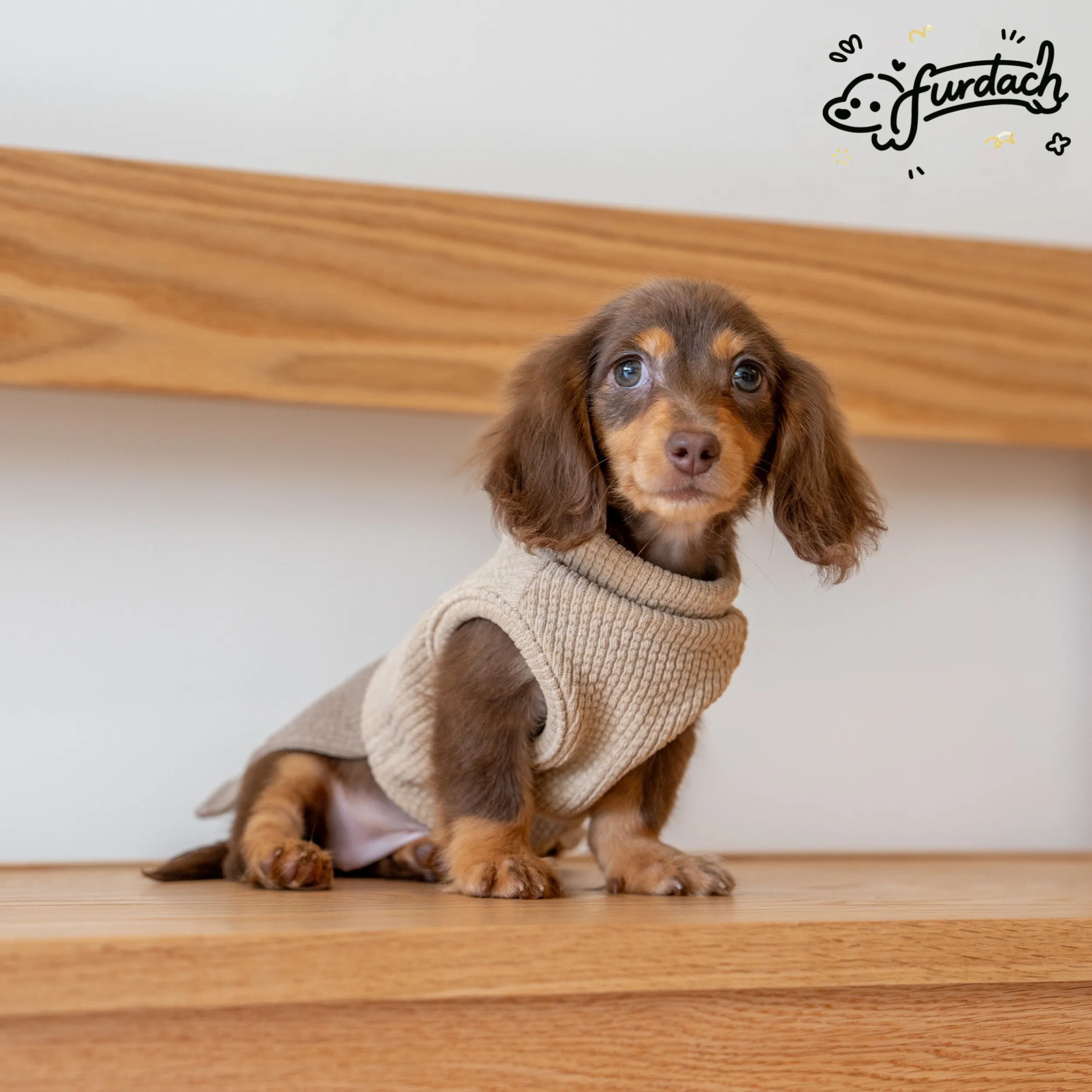 Chaleco sin mangas para Dachshund, algodón antiestático - imagen 5