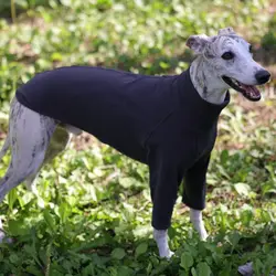 Camiseta cuello alto para galgo, whippet y saluki – Ropa primavera