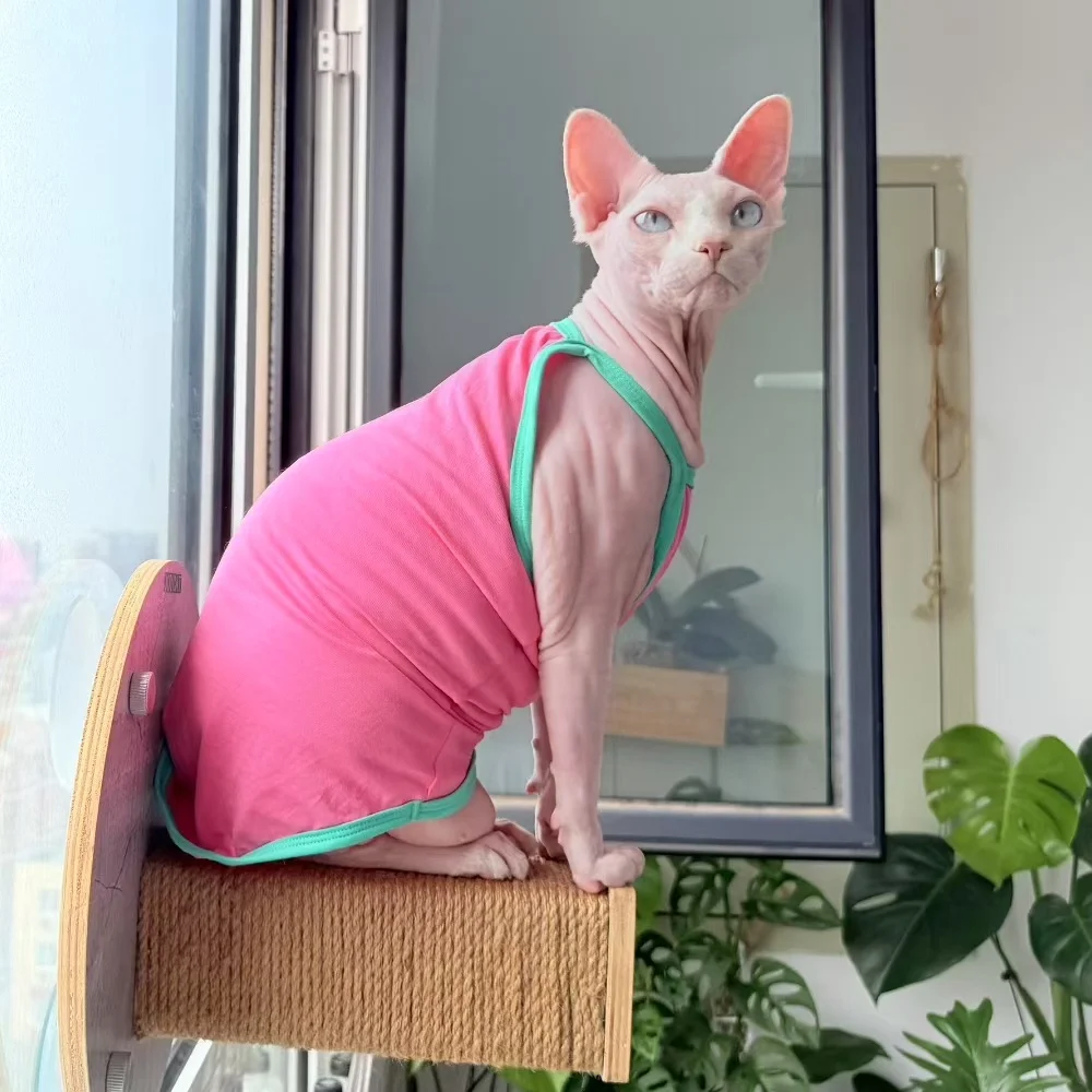 Camiseta camisola de algodón rosa para gato sin pelo en verano, chaleco verde suave y bonito para Devon Rex, abrigo fino sin mangas para gato Sphynx - imagen 2