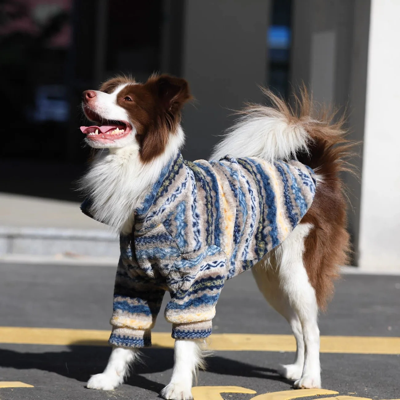 Suéter de cuello alto para perros medianos y grandes - imagen 2