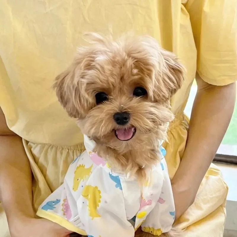 Ropa a prueba de lluvia para cachorros y dinosaurios, ropa a prueba de salpicaduras para perros, Teddy Bichon, estilo de dibujos animados, camisa con botones abiertos, ropa de dos piernas - imagen 3