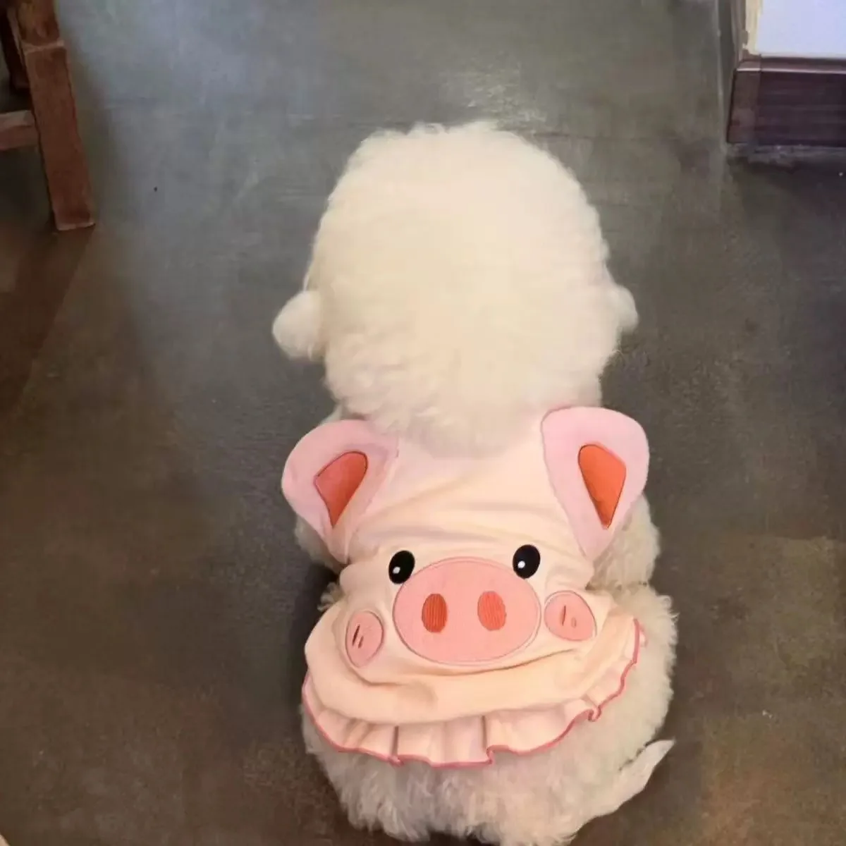 Chaleco de otoño e invierno para mascotas, camisa Base para perros, chaleco fino bonito para perros pequeños, ropa para cachorros, ropa para perros pequeños