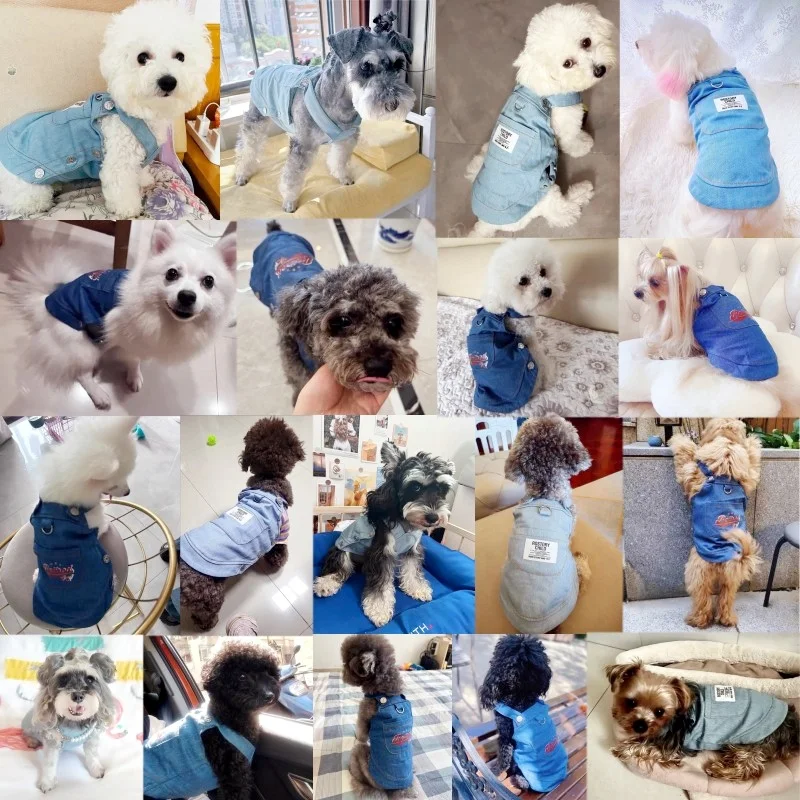 Ropa de otoño para perros pequeños, vestido vaquero a la moda para perros, falda bonita para cachorros, falda con tirantes para gatos suaves y cálidos, ropa para Chihuahua - imagen 2