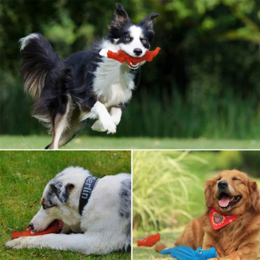 Juguete para masticar perros y mascotas, juguetes de dentición con sonido, máquinas de cizallamiento, tratamiento de goma, limpieza de dientes, accesorios de entrenamiento Molar - imagen 4