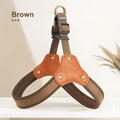 Brown Harness