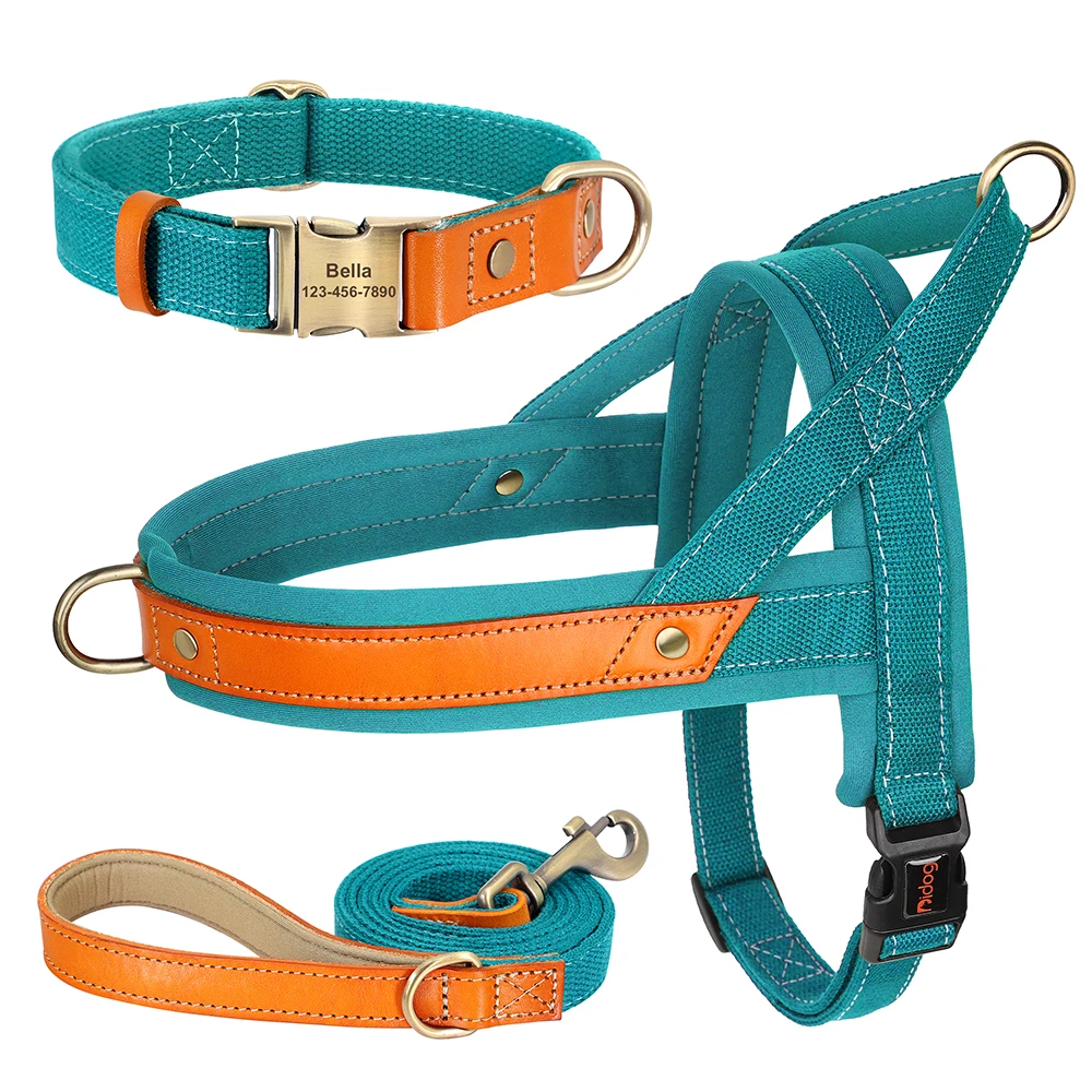 Blue Collar Harness