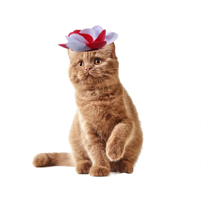 Nuevos adornos navideños de Halloween para mascotas, vestido con olor, tocado Universal para gatos de doble uso, suministros de accesorios para gatos - imagen 2