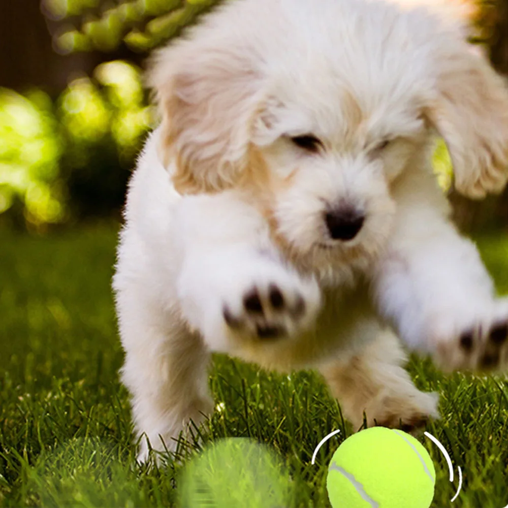 Pelota de tenis elástica de juguete para perros, juguete de goma resistente a masticar para mascotas para entrenar, juguete duradero para masticar cachorros, - imagen 2