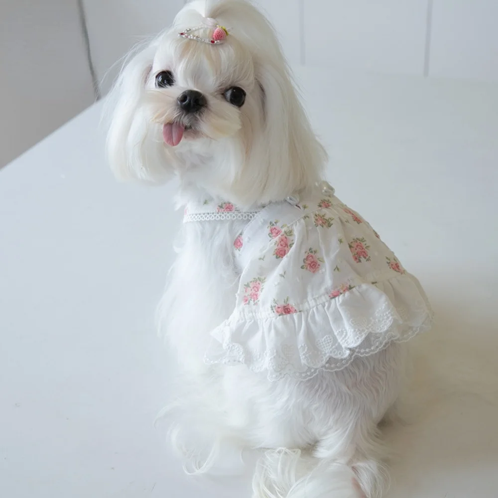 Falda pequeña de encaje con estampado de flores para mascotas, ropa de peluche para perros y gatos, cinturón bonito, vestido para cachorros, ropa para perros - imagen 2