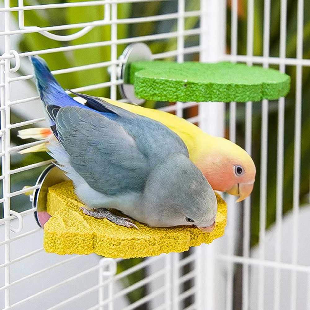 1 unidad de garra de loro con forma de hoja de Ginkgo, plataforma de pie, juguete para masticar, ejercicio de garra Natural para pájaro pequeño, loro, perca, ejercicio de garra - imagen 4