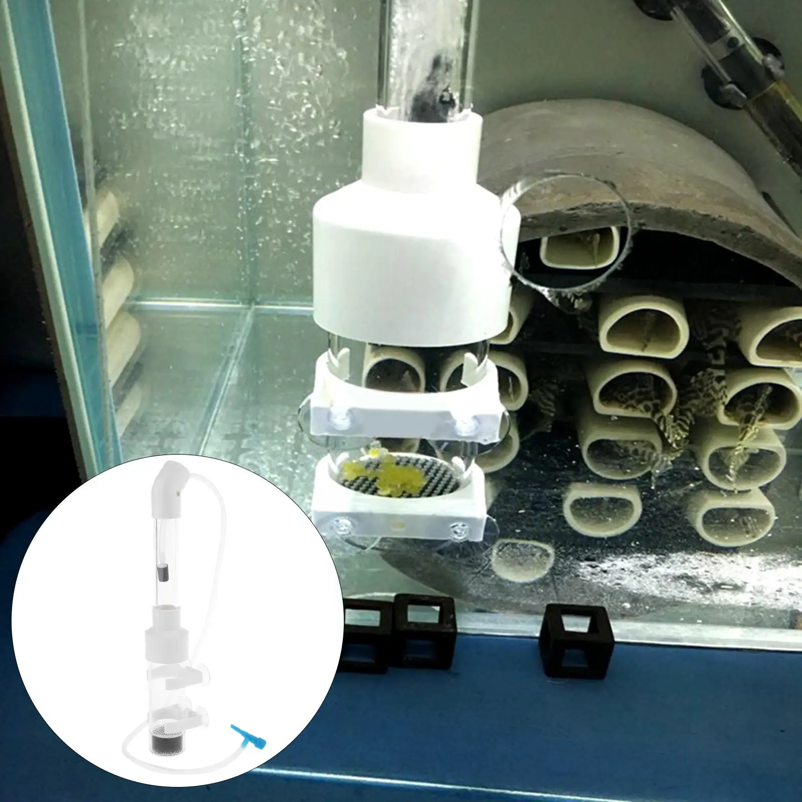 Fish Egg Incubator Mouth Incubating Equipment Fish Hatchery 50mm for Cichlids Ornamental Fish