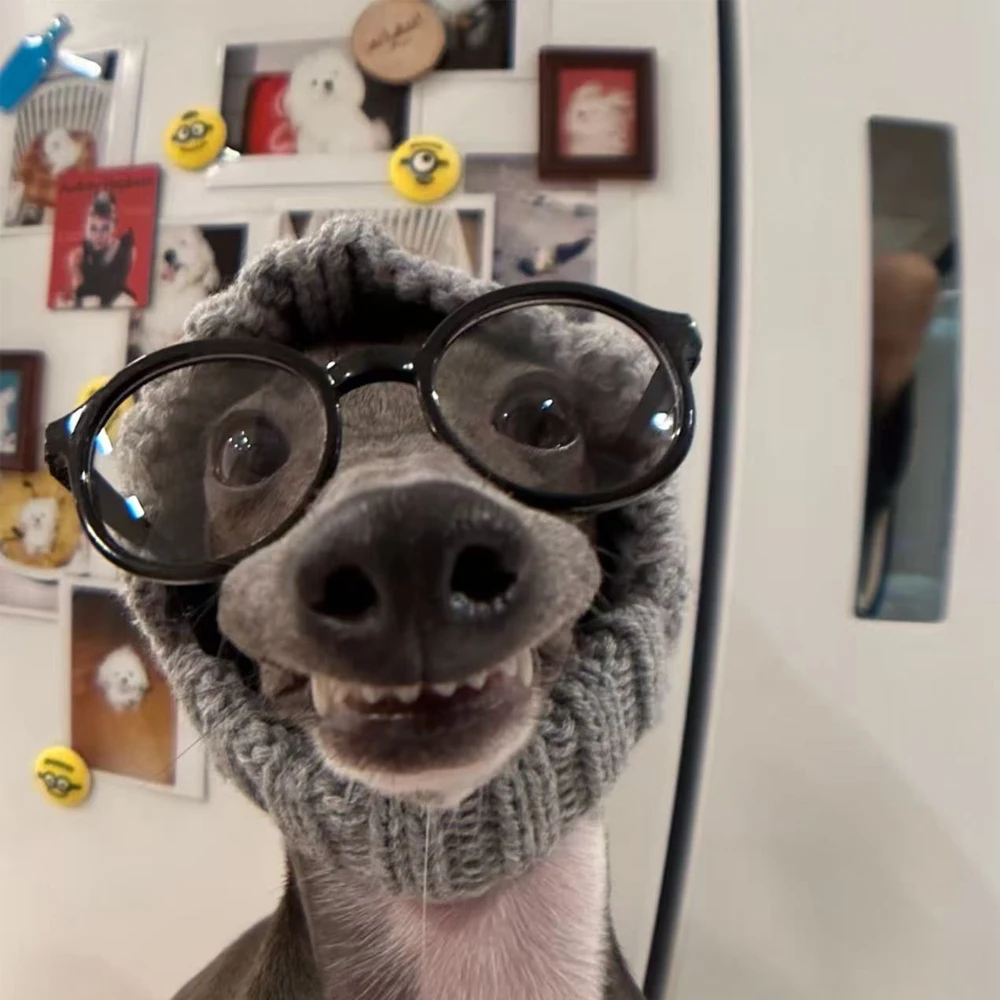 Gorro de galgo italiano hecho a mano, decoración de cabeza de perro de invierno en otoño, sombrero cálido para perros pequeños Whippet con orejas expostas - imagen 2