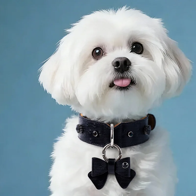 Collar cuero Nappa lazo brillo para perros pequeños medianos grandes