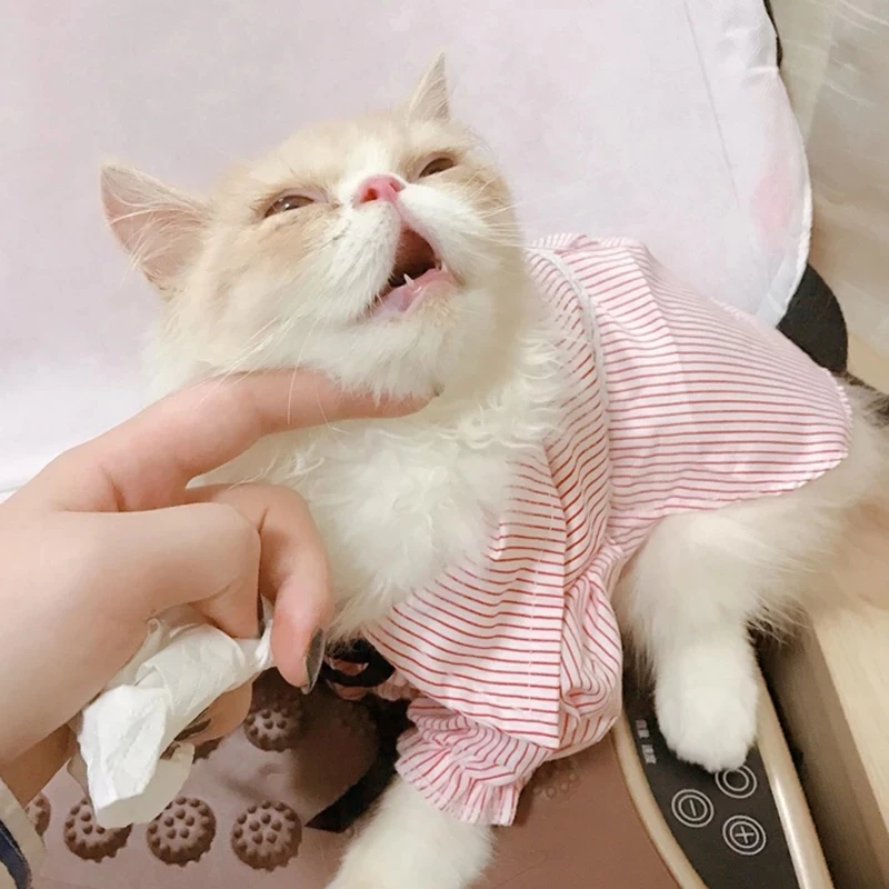 Camiseta de verano para perros y gatos, falda a rayas, ropa para mascotas pequeñas, Chihuahua, Yorkshire, caniche - imagen 4