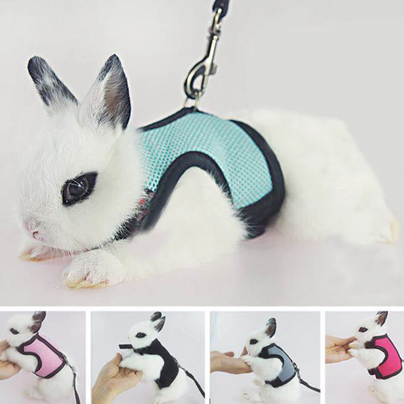 Arnés y correa de malla transpirable para conejos, hurones, accesorios para conejitos, arneses de cuerda para gatos, suministros para mascotas, arnes conejo - imagen 3