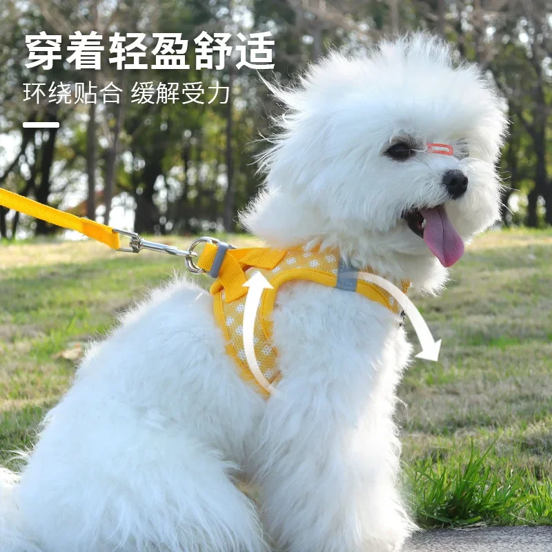 Nueva correa para el pecho para gatos, correa para gatos a cuadros frescos, correa para el pecho para mascotas sin rotura, Universal para gatos y perros - imagen 2