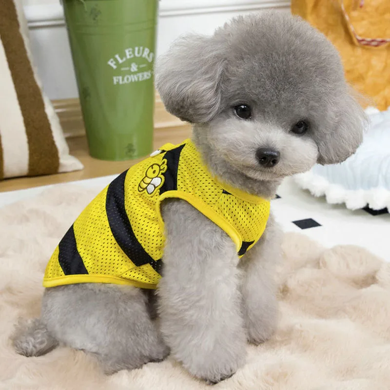 Ropa para perros, jersey amarillo y naranja de verano, ropa con capucha, chaleco para perros pequeños, Chihuahua, perro salchicha, sudadera, disfraz de camisa - imagen 3