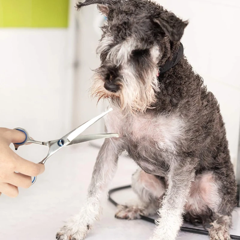 Mango ergonómico con anillo de goma de las tijeras
