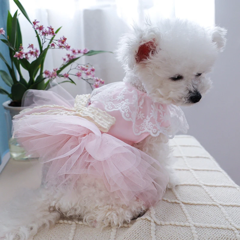 Vestido de gato con pajarita de encaje para perros pequeños, falda tutú de velo rosa de princesa, ropa de verano para cachorros, ropa femenina para cumpleaños y boda para mascotas - imagen 4