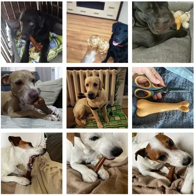 Juguetes masticables para huesos de perro, juguetes para cachorros antimordeduras naturales no tóxicos, casi indestructibles, para perros pequeños, medianos y grandes, juego Dental para masticar para mascotas - imagen 2