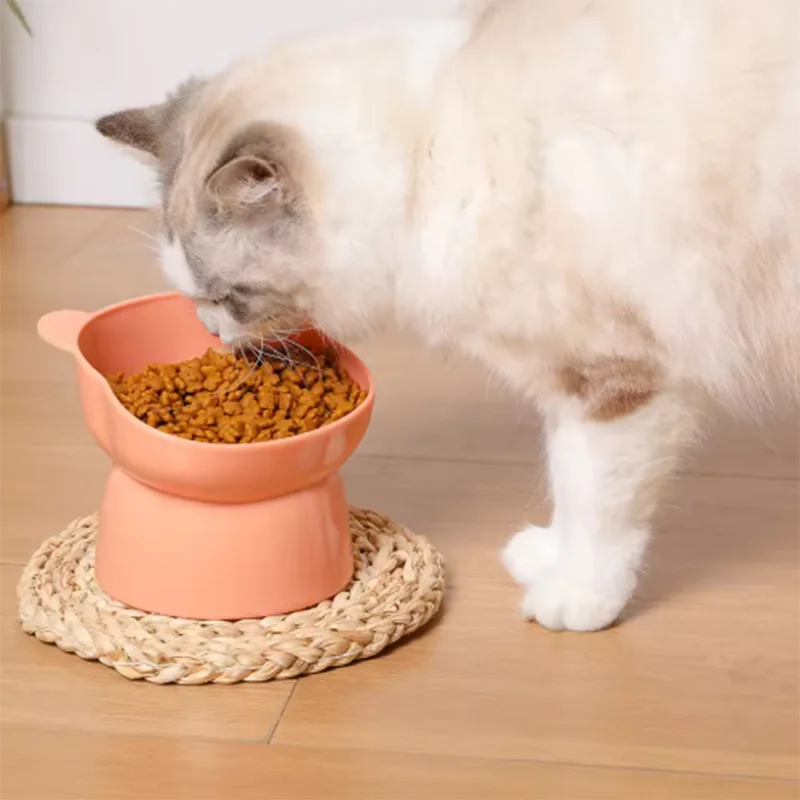 Cuenco para gatos de pierna alta inclinado de estilo nórdico, cuenco de plástico para mascotas con diseño de cara de oso y protección del cuello de dibujos animados