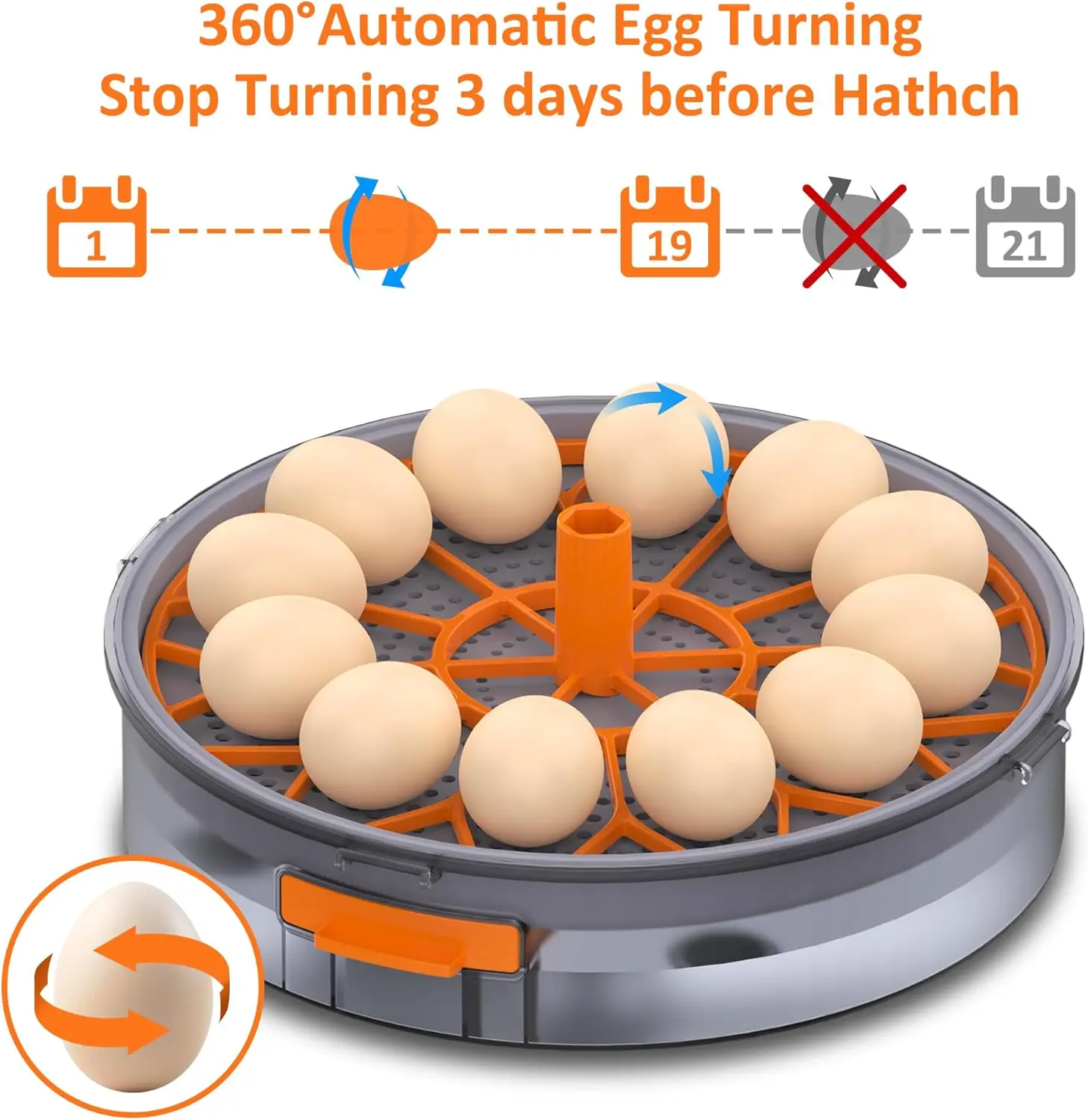 Incubadora automática para huevos con giro y control de humedad - imagen 2