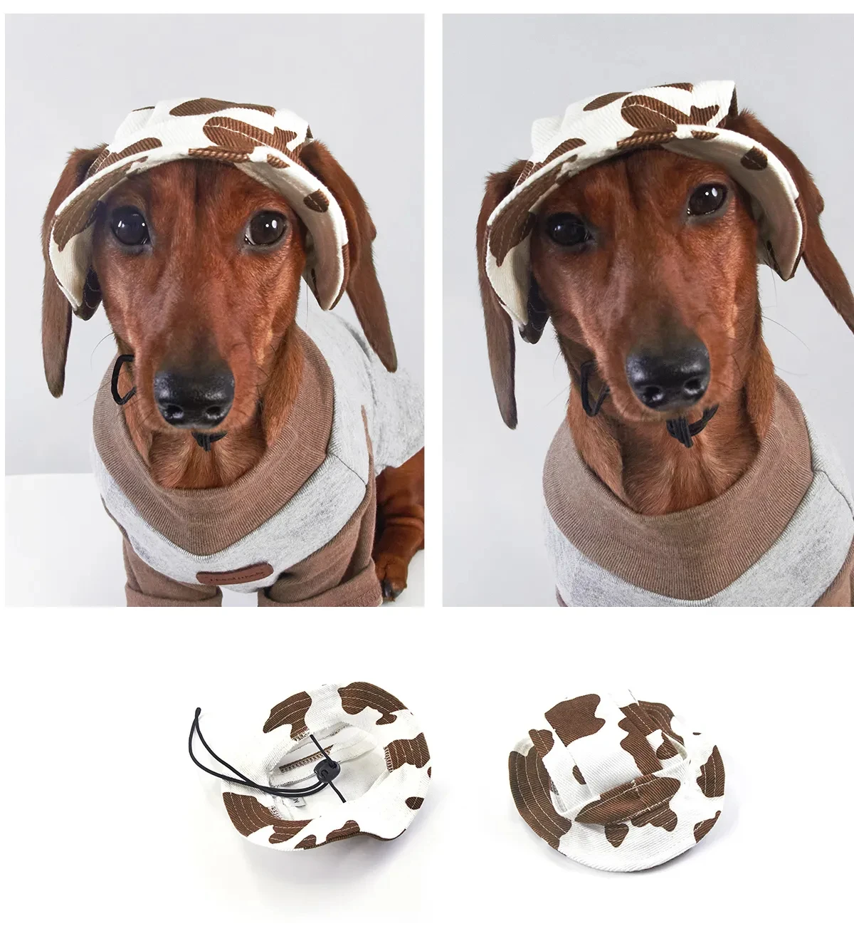 Perro con sombrero transpirable en exterior soleado