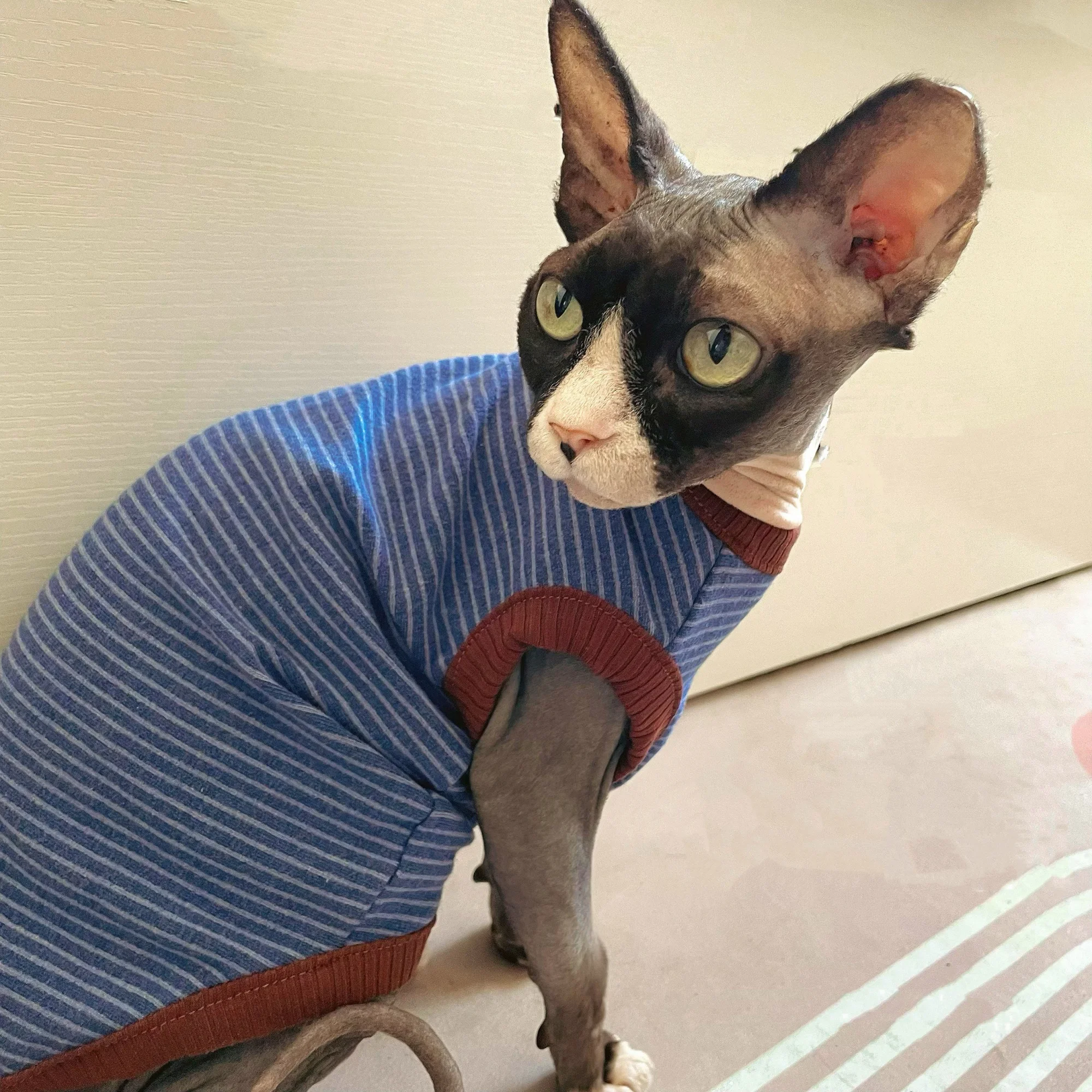 Camiseta chaleco sin mangas de algodón para Sphynx y Devon Rex - imagen 5