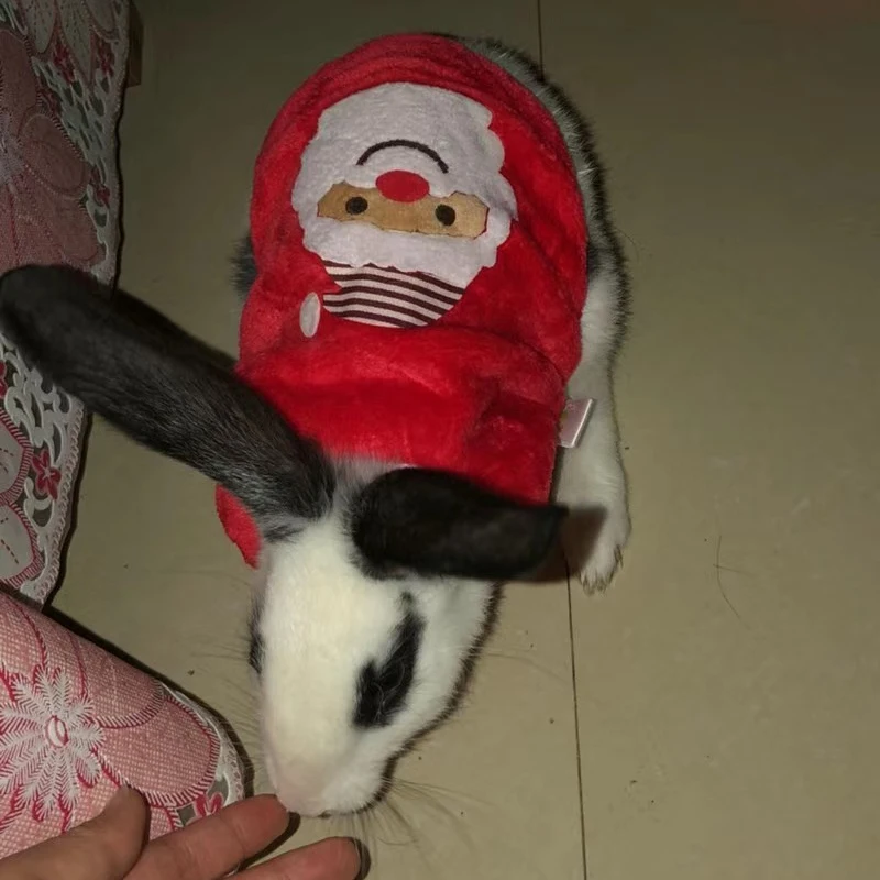 Chaqueta de conejito de otoño e invierno, ropa cálida de lana para animales pequeños para conejo, gatito, hámster, chaleco con estampado bonito para mascotas - imagen 5